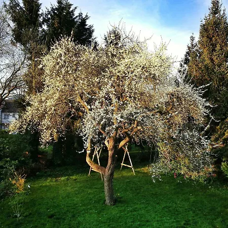 Appartement - Georgenberg / Entspannen Im Harz / Mittendrin