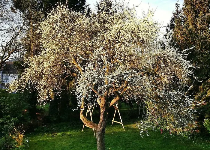 公寓 - Georgenberg / Entspannen Im Harz / Mittendrin